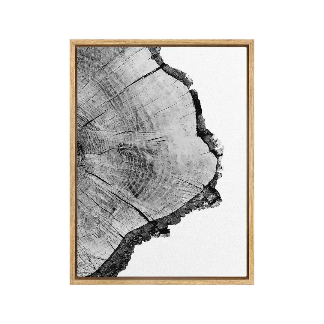 Wall Frame - NMI0304 - 40x60cm